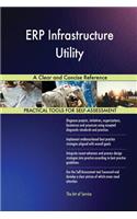 ERP Infrastructure Utility A Clear and Concise Reference