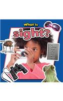 What Is Sight?