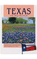 Texas on My Mind