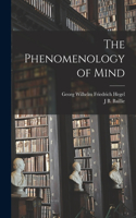 Phenomenology of Mind