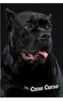 Cane Corso: Composition Book 150 pages 6 x 9 in. Wide Ruled Writing Notebook Lined Paper Soft Cover Plain Journal