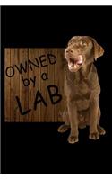 Owned by a Lab: Notebook Journal Diary 110 Lined pages