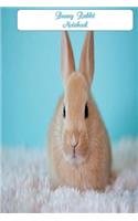 Bunny Rabbit Notebook