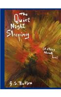 Quiet Night Sleeping