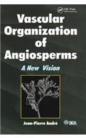 Vascular Organization of Angiosperms