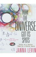 How the Universe Got Its Spots