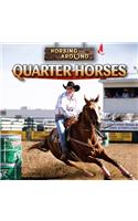 Quarter Horses