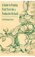 Guide to Pruning Fruit Trees for a Productive Orchard