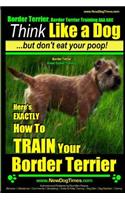 Border Terrier, Border Terrier Training AAA Akc