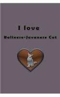 I love Balinese-Javanese Cat