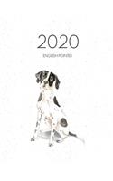 2020 English Pointer