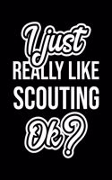 I Just Really Like Scouting Ok?