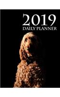 2019 Daily Planner (Poodle Edition)