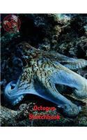 Octopus Sketchbook