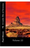 A Little Bit of Arizona: Volume 22(22 Arizona)