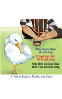 Why Ducks Sleep on One Leg