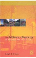 The Brilliance of Bioenergy