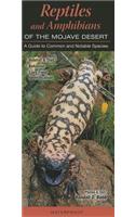 Reptiles and Amphibians of the Mojave Desert