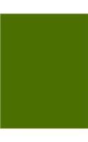Olive Green 101 - Graph Notebook