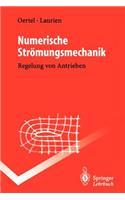 Numerische Stromungsmechanik