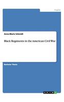 Black Regiments in the American Civil War