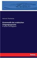 Grammatik der arabischen Umgangssprache: in Syrien und Ägypten