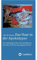 Haar in der Apokalypse: Das aufregende Leben eines Schafhaares von Anno 1356 bis zum Jüngsten Gericht.