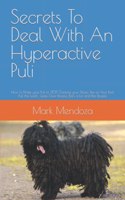 Secrets To Deal With An Hyperactive Puli