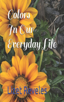 Colors: In Our Everyday Life