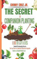 Secret of Companion planting for beginners