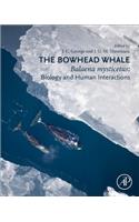 The Bowhead Whale