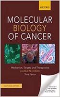 Molecular Biology Of Cancer,3Rd Edition