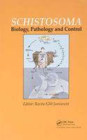 Schistosoma