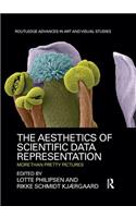 The Aesthetics of Scientific Data Representation