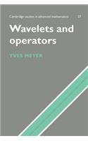 Wavelets and Operators: Volume 1