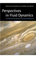 Perspectives in Fluid Dynamics