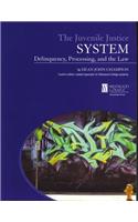 Juvenile Justice System: Delinquency, Processing, & the Law: (English)