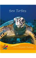 Book 10: Sea Turtles: Leveled Reader Orange Grade 2