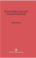 Sexual Selection and Animal Genitalia