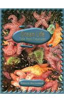 Steck-Vaughn Pair-It Books Proficiency Stage 5: Individual Student Edition Ocean Life: Tide Pool Creatures