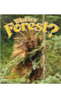 What is a Forest