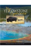 My Yellowstone Experience