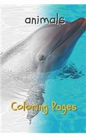 Animal Coloring Pages