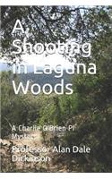 Shooting in Laguna Woods