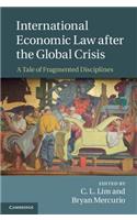 International Economic Law After the Global Crisis