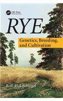 Rye