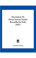 Description De Divers Insectes Inedits Recueillis En Sicile (1827)