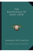The Knowledge Of Mary (1878)