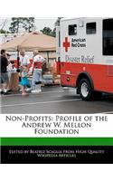 Non-Profits