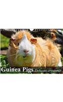 Guinea Pigs Delicate Creatures 2017: Guinea Pigs are Sociable and Inquisitive Animals(Calvendo Animals)
